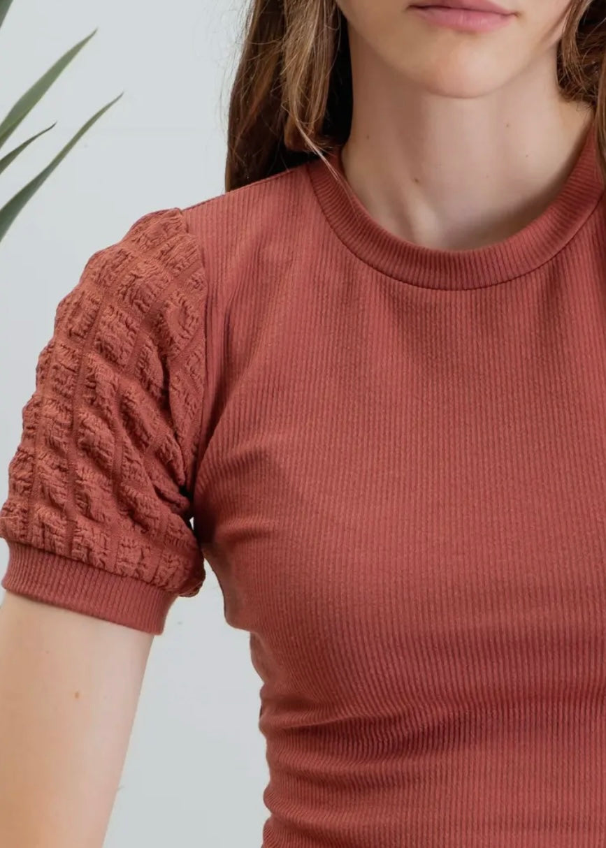 Sarah Popcorn Sleeve Knit Top