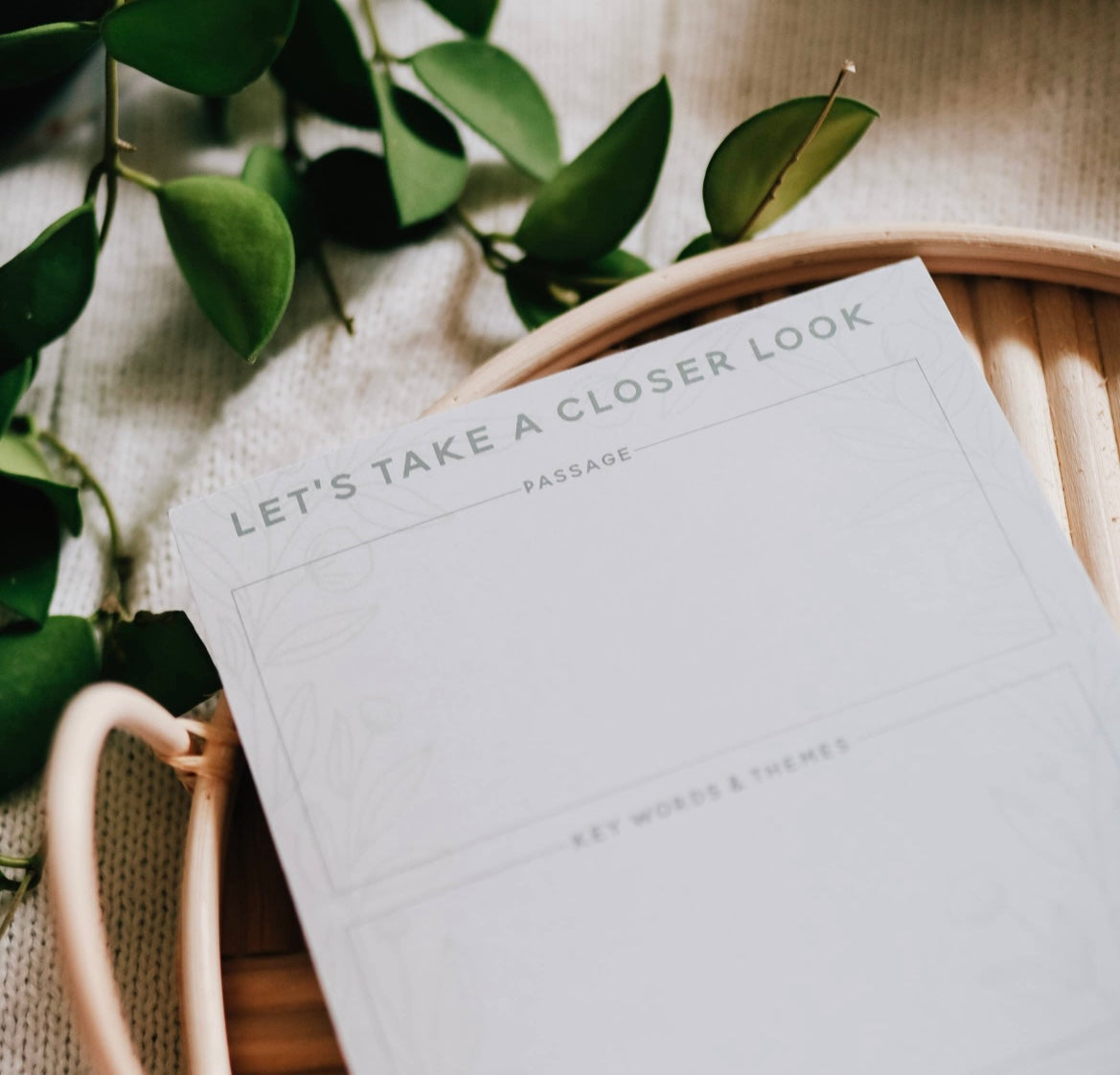 Scripture Passage Prompt Notes
