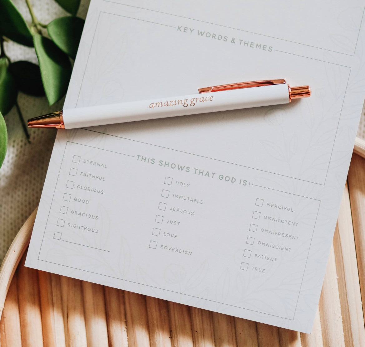Scripture Passage Prompt Notes