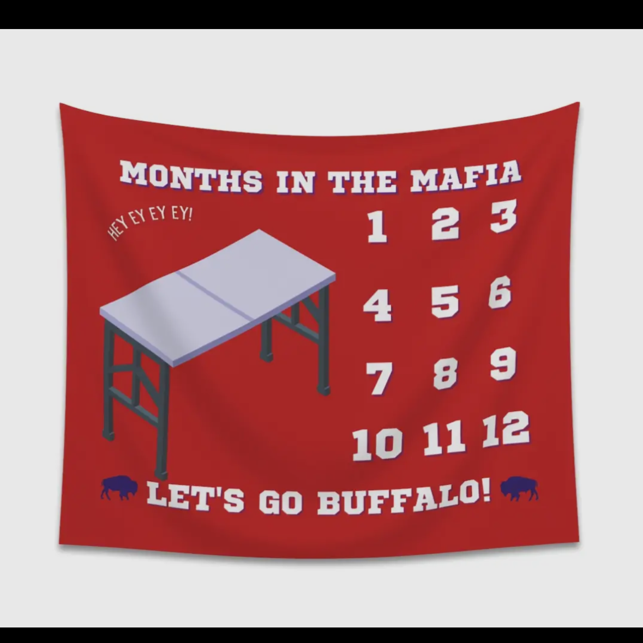 Baby Bills Monthly Milestone Blanket