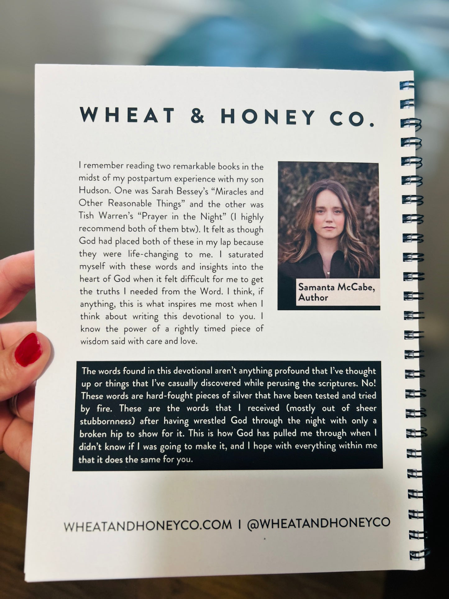 Washed A motherhood Devotional About Postpartum