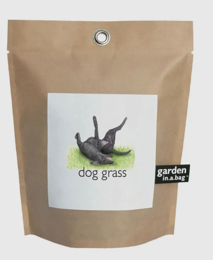 Garden In A Bag-Dog Grass