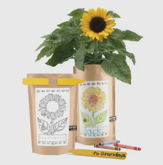 Garden In A Bag Kids-Sunflower