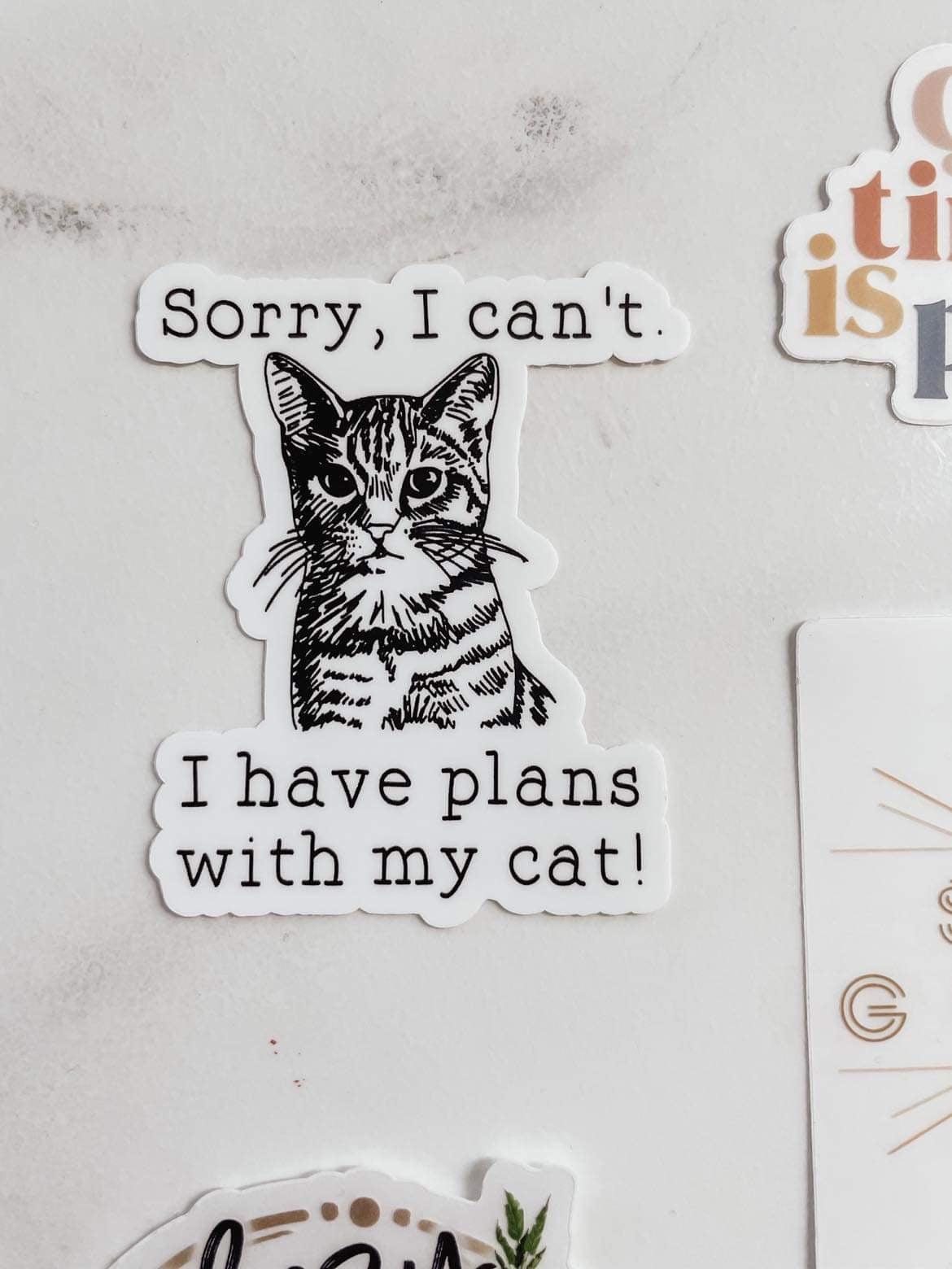 Plans With My Cat Sticker